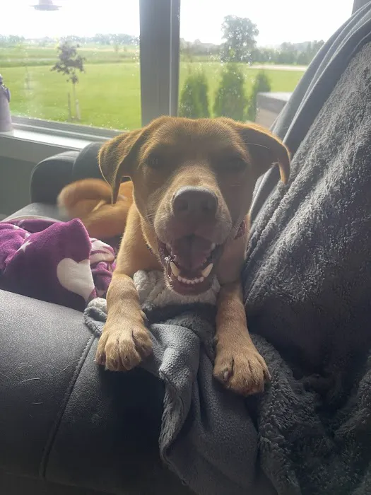 Vetco Total Care Animal Hospital Picture 6