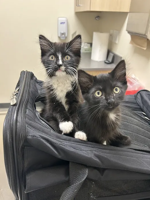 Vetco Total Care Animal Hospital Picture 7