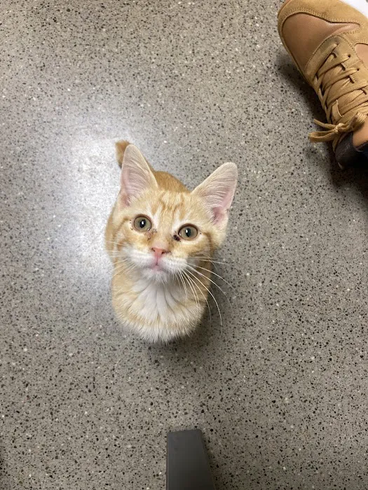 Vetco Total Care Animal Hospital Picture 10