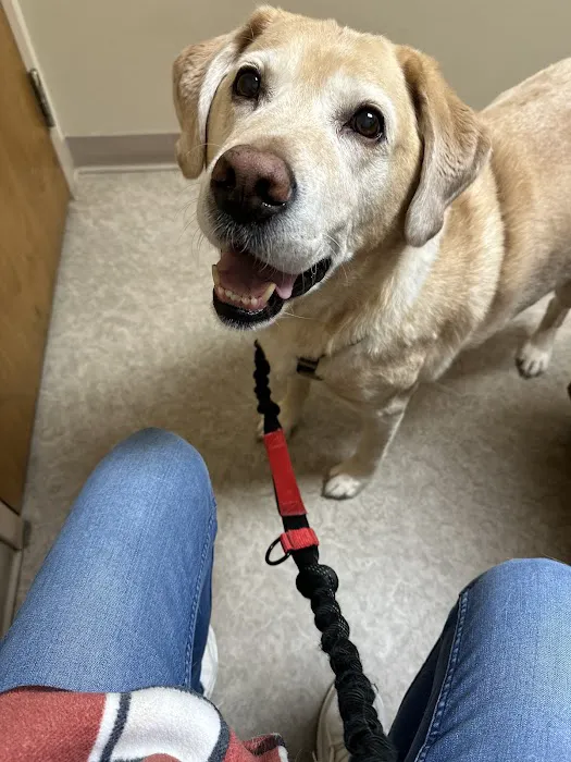 Animal Hospital of Ashwaubenon Picture 2