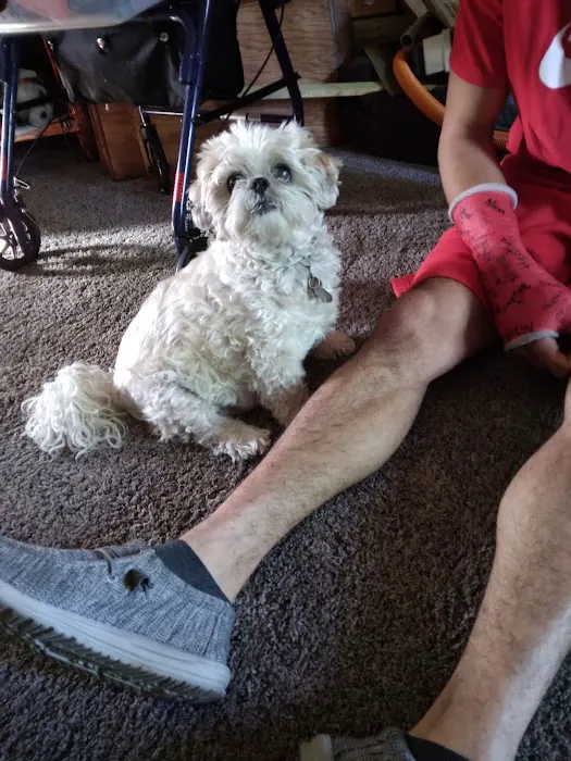 Animal Hospital of Ashwaubenon Picture 4