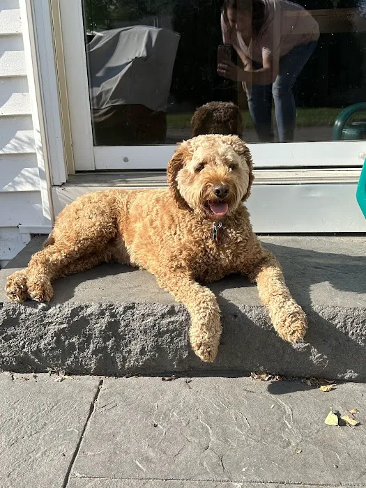 Animal Hospital of Ashwaubenon Picture 8