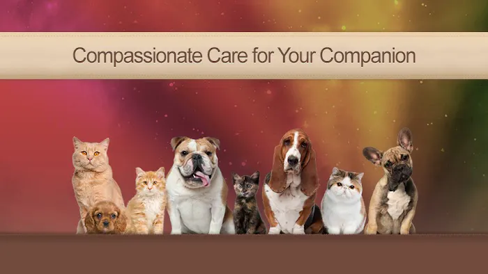 Animal Hospital of Ashwaubenon Picture 7