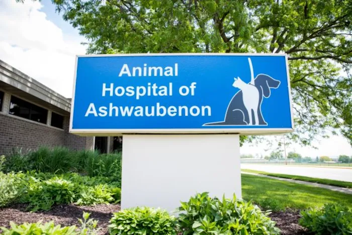 Animal Hospital of Ashwaubenon Picture 9