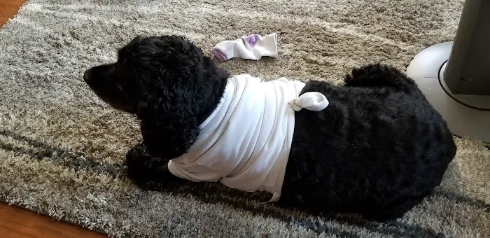 Animal Hospital of Ashwaubenon: Barker Terry DVM Picture 1