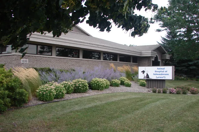 Dr. Michele LaFond Picture 1