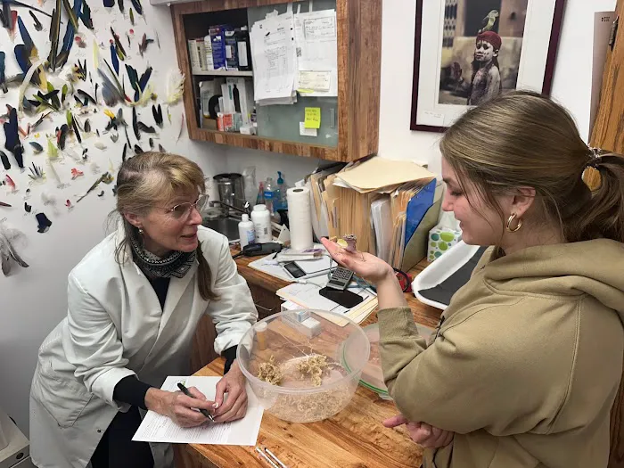 Birddoc.net Picture 3