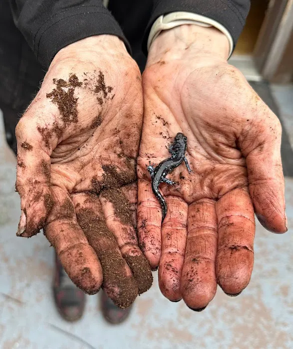 Birddoc.net Picture 4