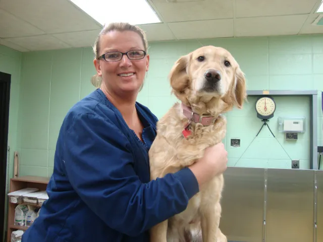 Animal Hospital of De Pere Picture 4