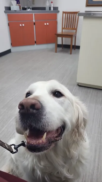 Oconto Veterinary Center Picture 2