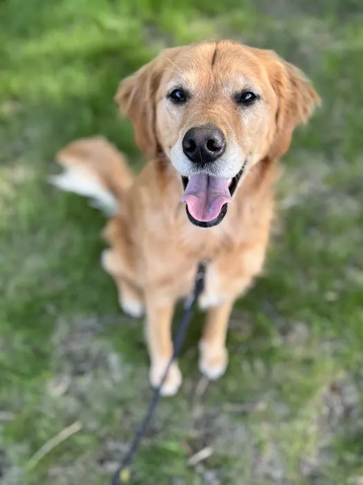 Oconto Veterinary Center Picture 1