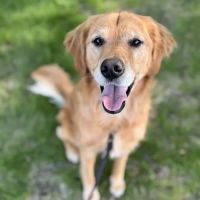 Oconto Veterinary Center ico