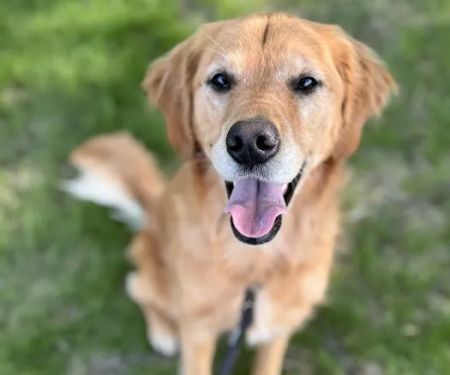 Oconto Veterinary Center