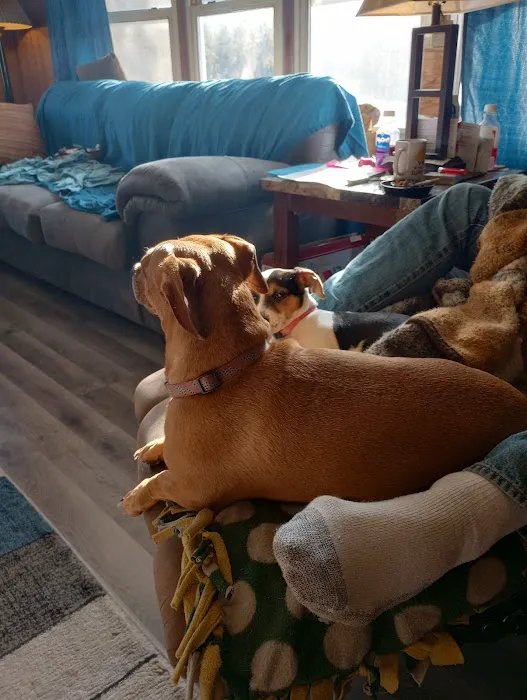 Spring Brook Veterinary Clinic Picture 2