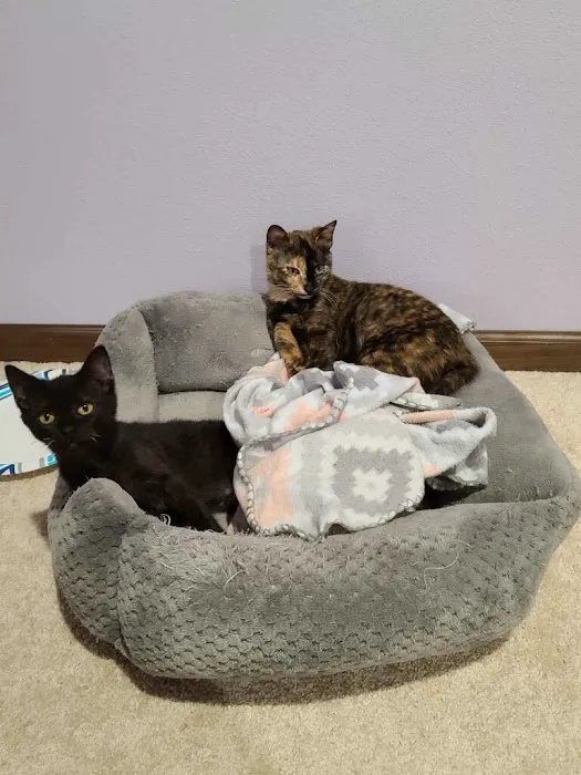 Spring Brook Veterinary Clinic Picture 5