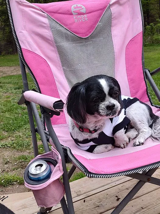 Spring Brook Veterinary Clinic Picture 6