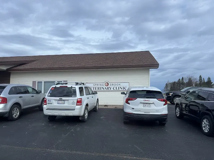Spring Brook Veterinary Clinic Picture 7