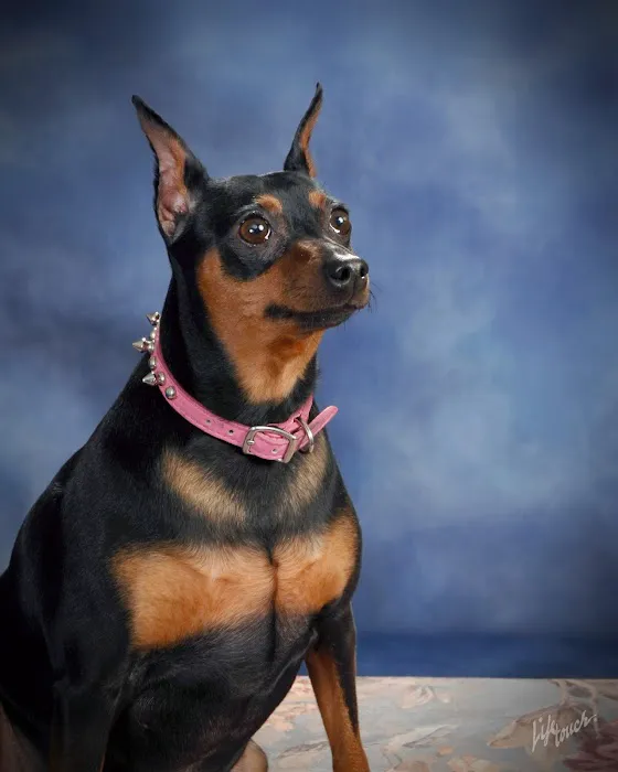 Antigo Veterinary Clinic Picture 1