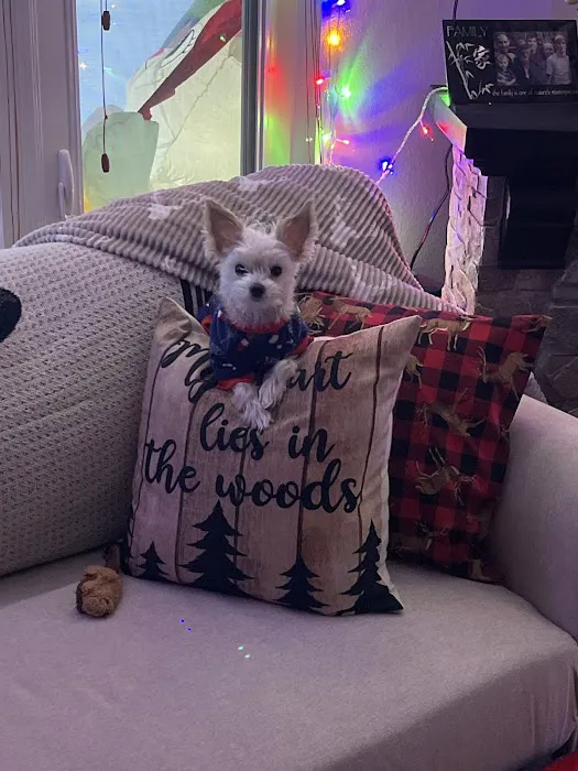 Antigo Veterinary Clinic Picture 7