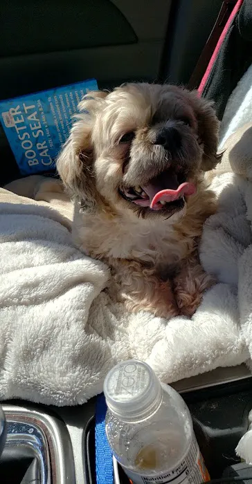 Antigo Veterinary Clinic Picture 2