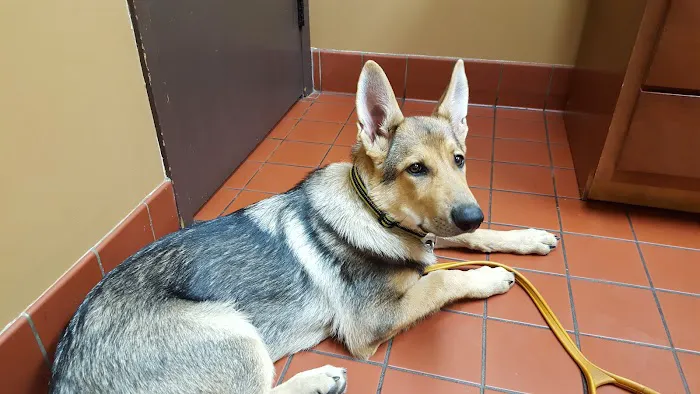 Antigo Veterinary Clinic Picture 5