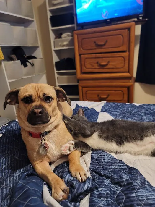 Antigo Veterinary Clinic Picture 3