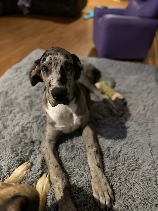 Antigo Veterinary Clinic Picture 9