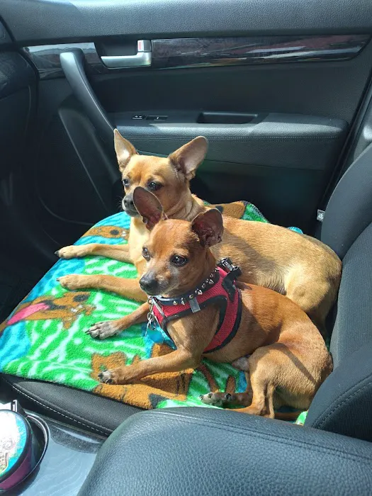 Antigo Veterinary Clinic Picture 8