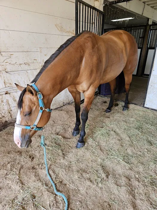 Pegasus Clinic, Inc Picture 1