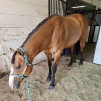 Pegasus Clinic, Inc ico