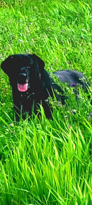 Pegasus Clinic, Inc Picture 2