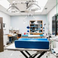 Animal Wellness Center Fond du Lac ico