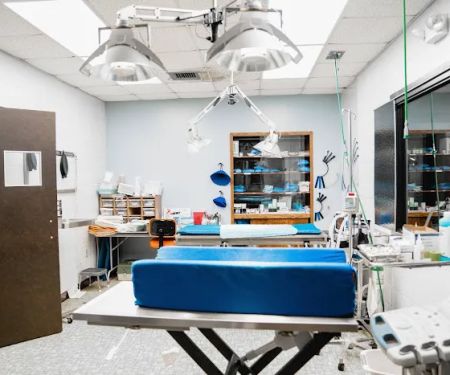 Animal Wellness Center Fond du Lac