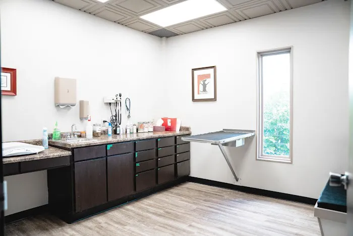 Animal Wellness Center Fond du Lac Picture 8