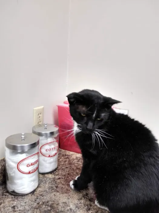 Animal Wellness Center Fond du Lac Picture 5