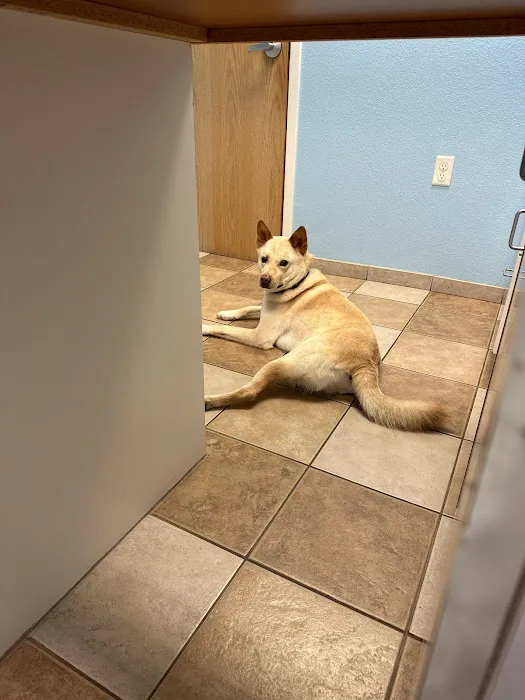 Companion Animal Care Picture 2