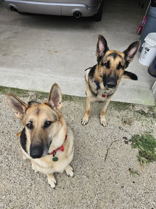 Companion Animal Care Picture 7