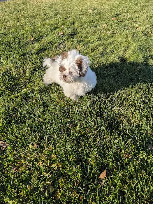 Animal Clinic of Beaver Dam Picture 4