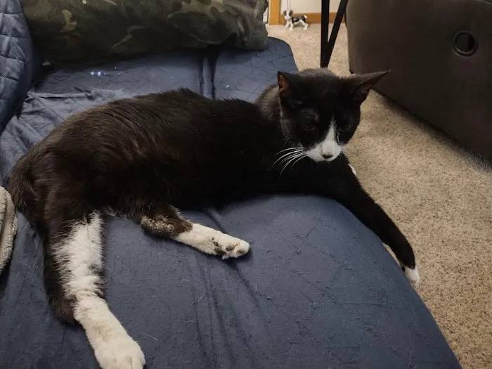 Animal Clinic of Beaver Dam Picture 5