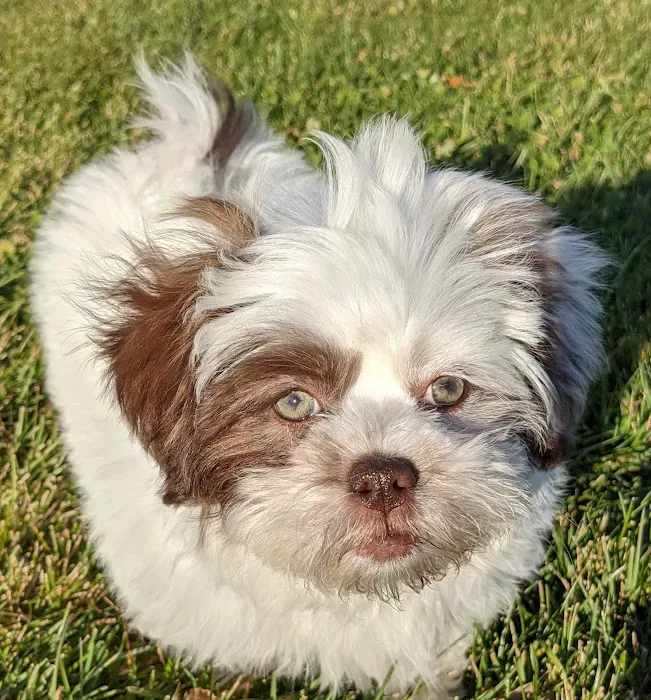 Animal Clinic of Beaver Dam Picture 3
