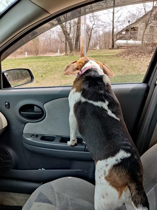 Wyllow Pet Hospital Picture 3