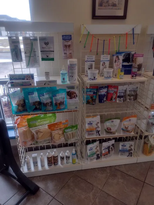 Wyllow Pet Hospital Picture 7