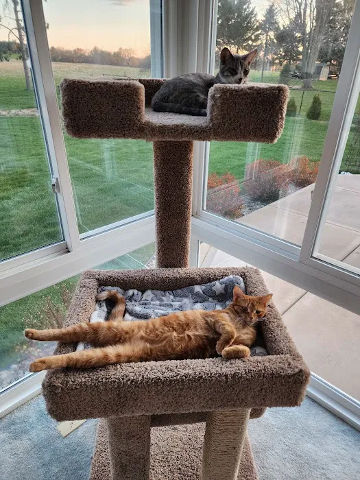 Wyllow Pet Hospital Picture 6