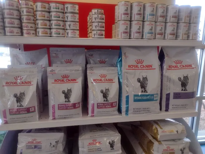 Wyllow Pet Hospital Picture 9