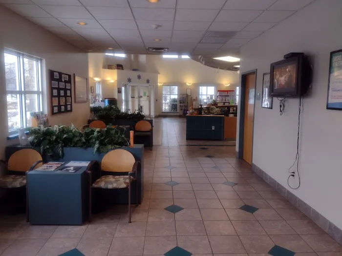 Wyllow Pet Hospital Picture 8