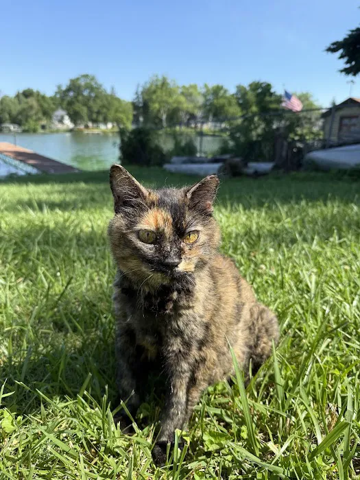 Beaver Dam Veterinary Clinic Picture 2