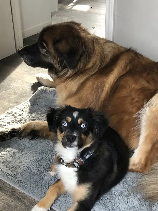 Beaver Dam Veterinary Clinic Picture 3