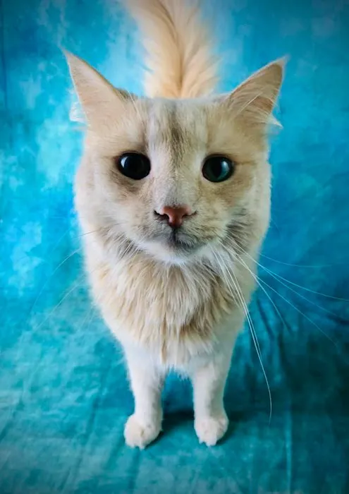 Beaver Dam Veterinary Clinic Picture 1