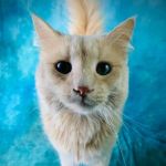 Beaver Dam Veterinary Clinic