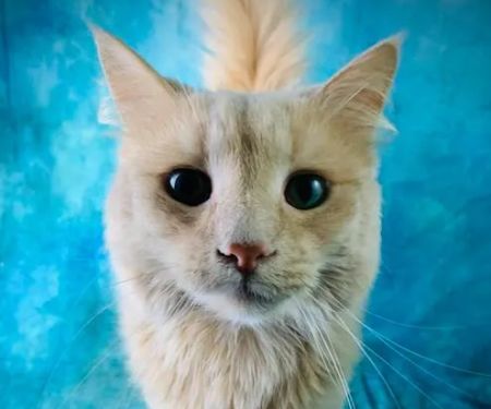 Beaver Dam Veterinary Clinic